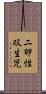 二卵性双生児 Scroll
