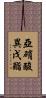 亞硝酸異戊酯 Scroll