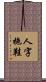 人字拖鞋 Scroll