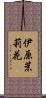 伊原茉莉花 Scroll