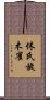 休氏旋木雀 Scroll