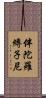 伴陀羅縛子尼 Scroll
