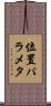 位置パラメタ Scroll