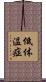 低体温症 Scroll