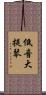 低音大提琴 Scroll