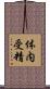 体内受精 Scroll