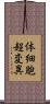 体細胞超変異 Scroll