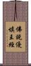 佛說優填王經 Scroll