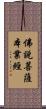 佛說菩薩本業經 Scroll