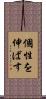 個性を伸ばす Scroll