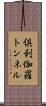 倶利伽羅トンネル Scroll