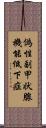 偽性副甲状腺機能低下症 Scroll