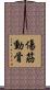 傷筋動骨 Scroll