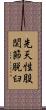 先天性股関節脱臼 Scroll