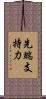 先端支持力 Scroll