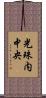 光珠内中央 Scroll