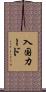 入国カード Scroll
