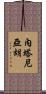 內塔尼亞胡 Scroll