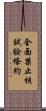 全面禁止核試驗條約 Scroll