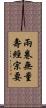 兩卷無量壽經宗要 Scroll