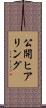 公開ヒアリング Scroll