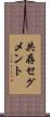 共存セグメント Scroll