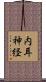 内耳神経 Scroll