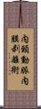 内頸動脈内膜剥離術 Scroll