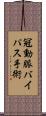 冠動脈バイパス手術 Scroll