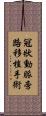 冠狀動脈旁路移植手術 Scroll