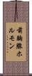 前胸腺ホルモン Scroll