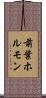 前葉ホルモン Scroll
