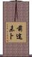 前途未卜 Scroll