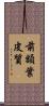 前額葉皮質 Scroll