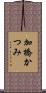 加橋かつみ Scroll