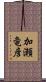 加瀬竜彦 Scroll