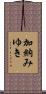 加納みゆき Scroll