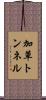 加草トンネル Scroll