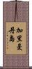 加里曼丹島 Scroll