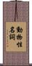 動物性名詞 Scroll