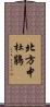 北方中杜鵑 Scroll