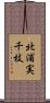 北浦実千枝 Scroll