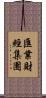 匯業財經集團 Scroll