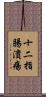十二指腸潰瘍 Scroll