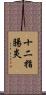 十二指腸炎 Scroll