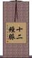 十二經脈 Scroll