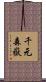 千元森嶽 Scroll