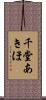 千堂あきほ Scroll