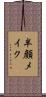 半顔メイク Scroll