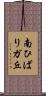 南ひばりガ丘 Scroll